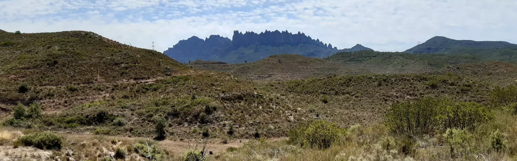 El bosque de Ros Roca