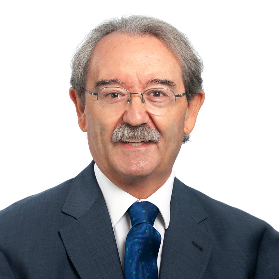 Vicente Vilaplana.jpg
